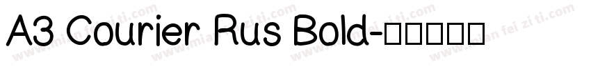 A3 Courier Rus Bold字体转换